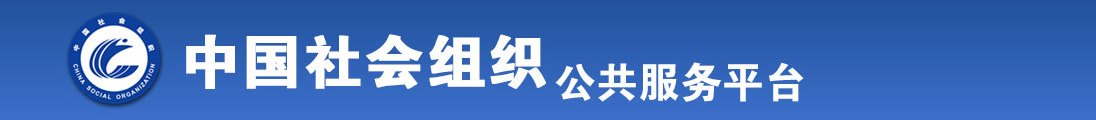 大黑鸡巴av在线全国社会组织信息查询